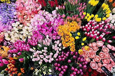 经典狼人游戏《古诺希亚》官方致谢 Steam＆Switch版打折